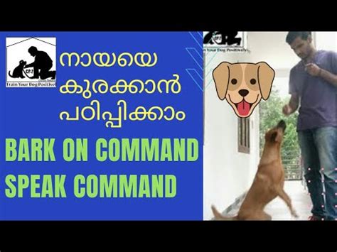 barks meaning in malayalam|bark in Malayalam .